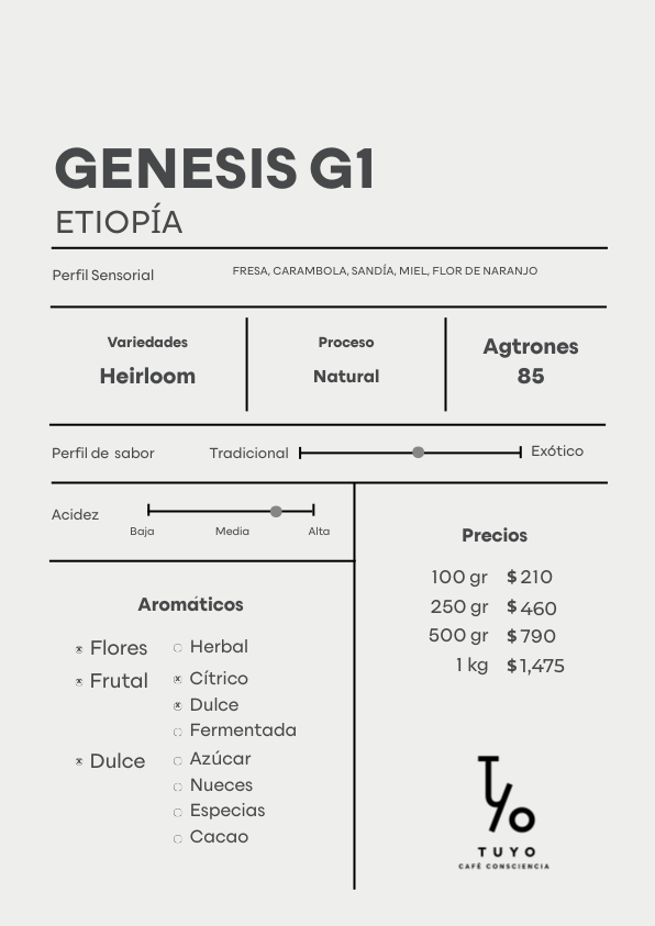 Génesis G1