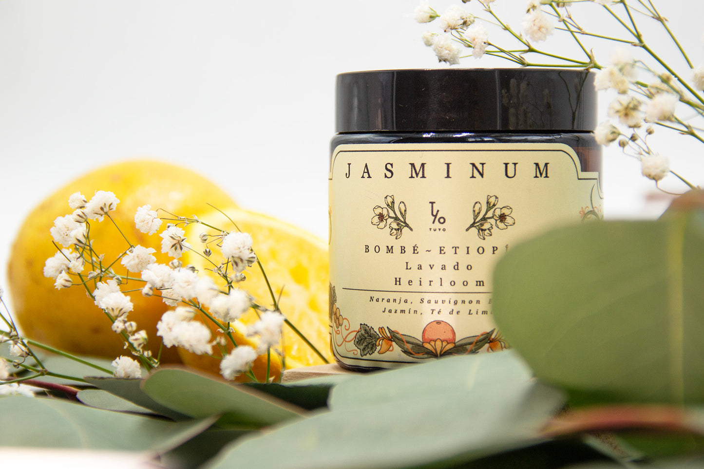 Jasminum
