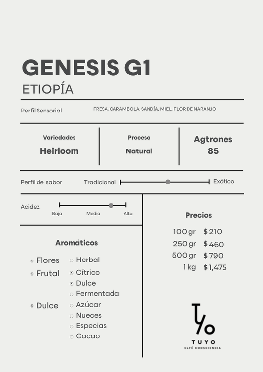 Génesis G1